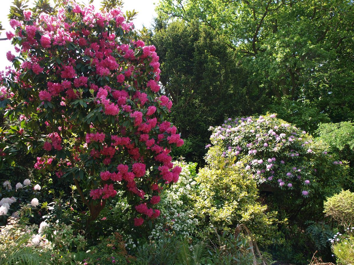 Heatherbank B&B Sandhurst  Exteriör bild